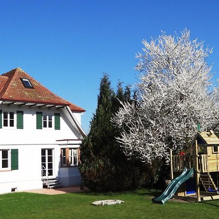 Schwarzwaldhaus24 - Ferienhaus Mit Sauna, Whirlpool Und Kamin Gemeinde Gemeinde Aichhalden Eksteriør billede